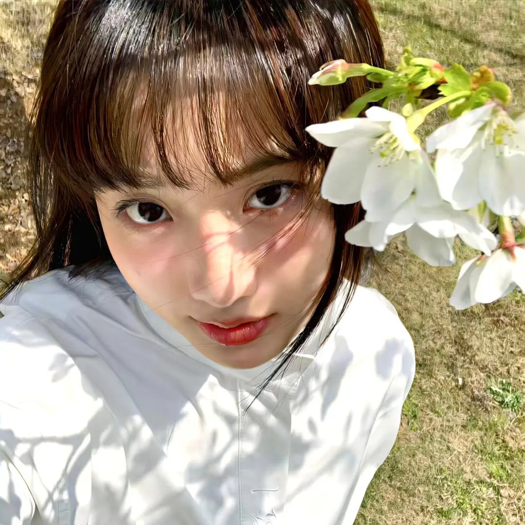 花月流情