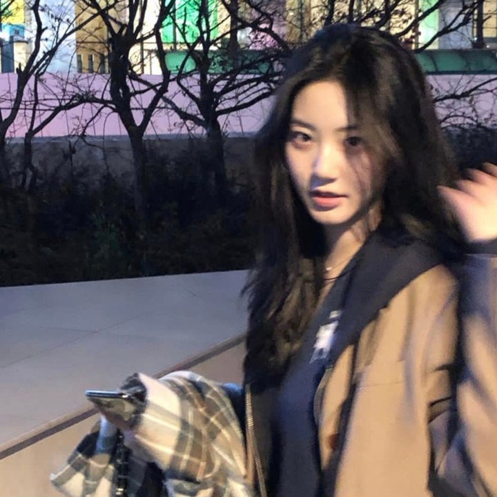 我的刺猬女孩之念念不忘